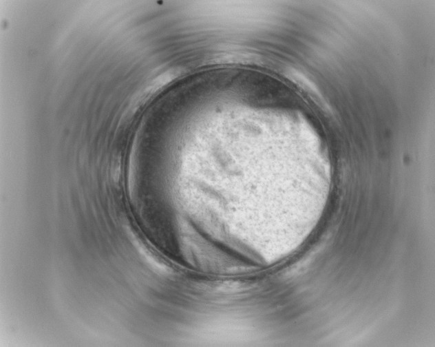 X0000088650841200706152005