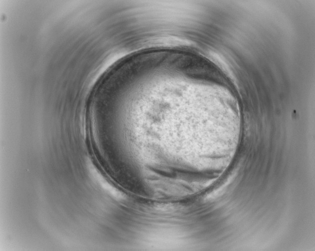 X0000088650843200706152005