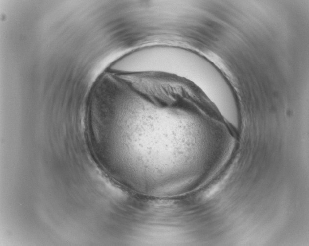 X0000088650846200706152005