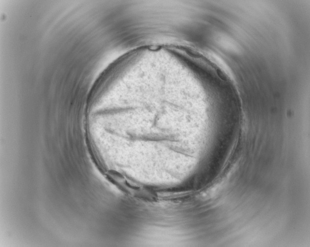 X0000088650847200706152005