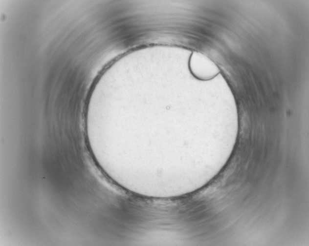 X0000088650848200706152005