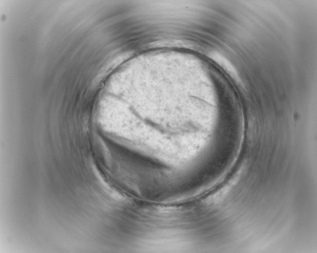 X0000088650849200706152005