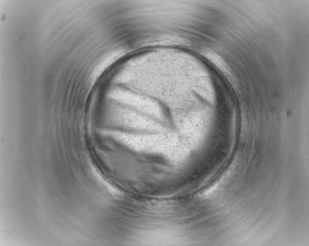 X0000088650850200706152005