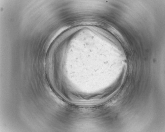 X0000088650852200706152005