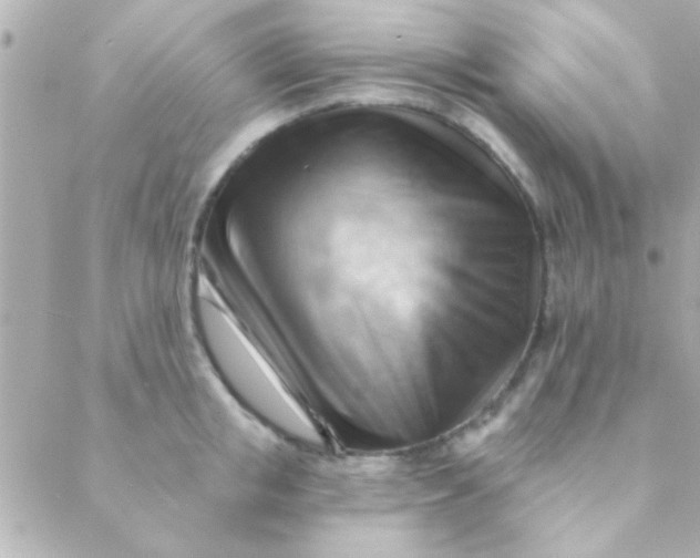 X0000088650853200706152006