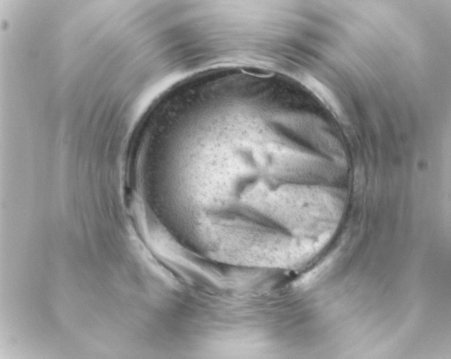 X0000088650854200706152006