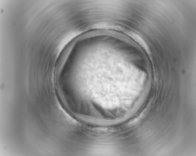 X0000088650855200706152006