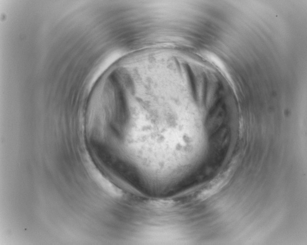 X0000088650859200706152006