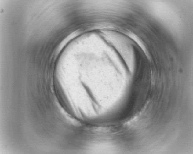 X0000088650861200706152006