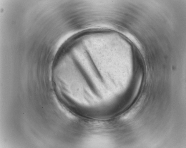 X0000088650862200706152006