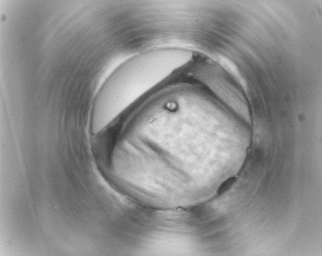 X0000088650863200706152006