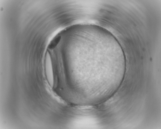 X0000088650864200706152006