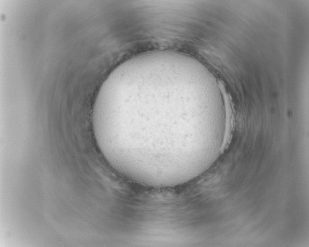 X0000088650865200706152005