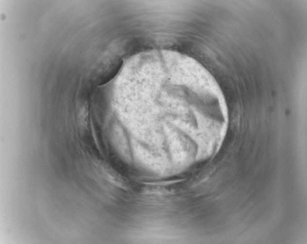 X0000088650866200706152005