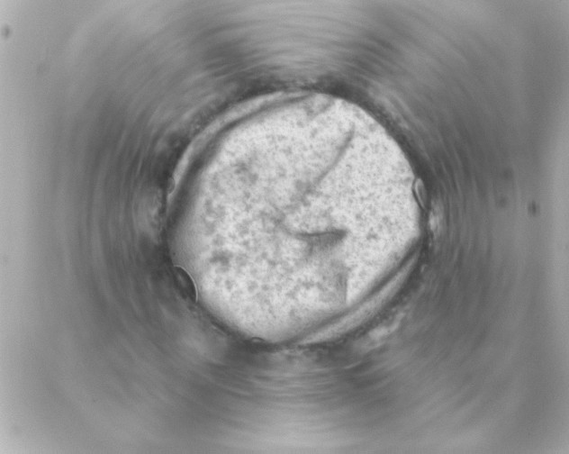 X0000088650867200706152005