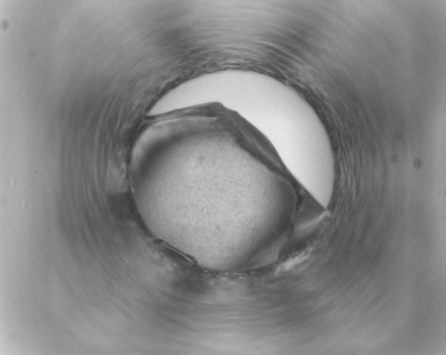 X0000088650868200706152005