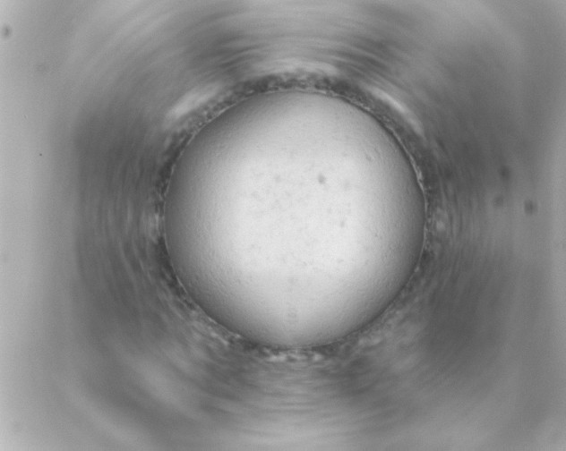 X0000088650869200706152005