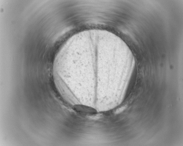 X0000088650870200706152005