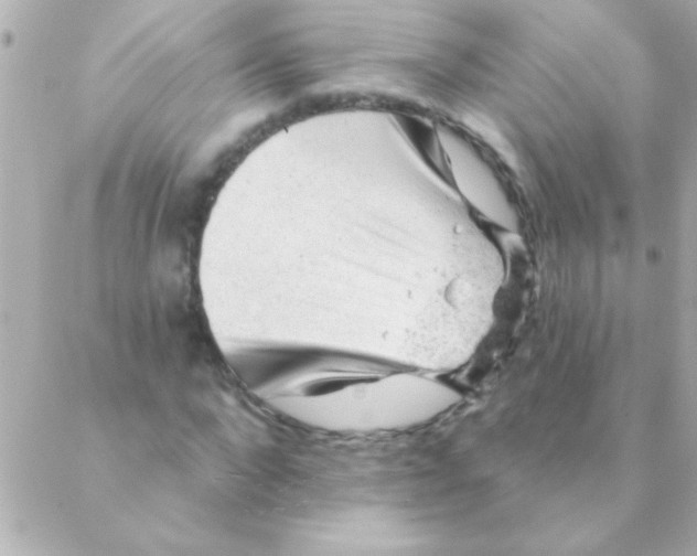 X0000088650872200706152005