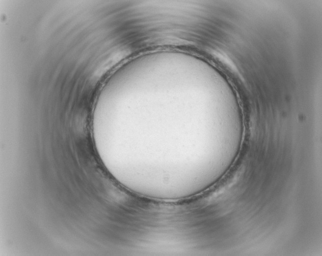 X0000088650873200706152005