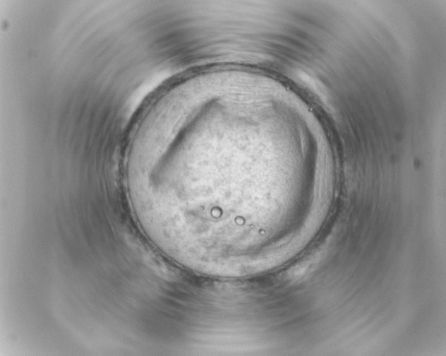 X0000088650875200706152005