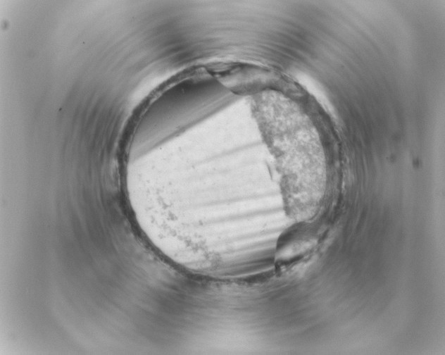 X0000088650876200706152005