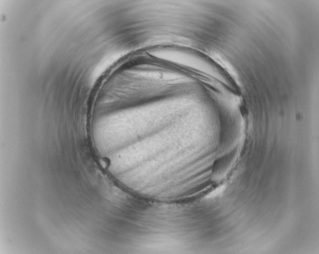 X0000088650877200706152005