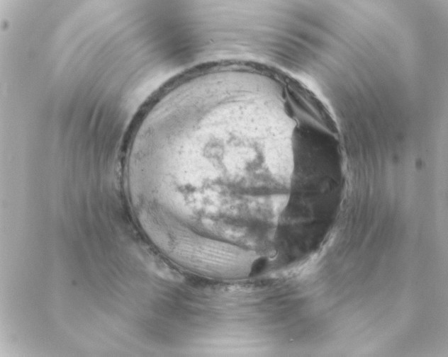 X0000088650879200706152005