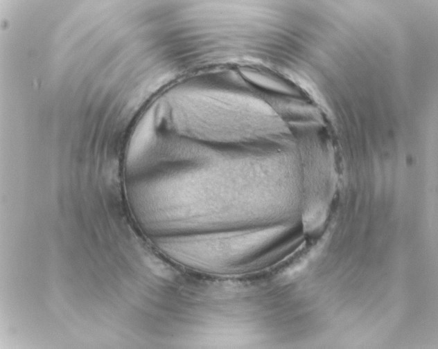 X0000088650881200706152005