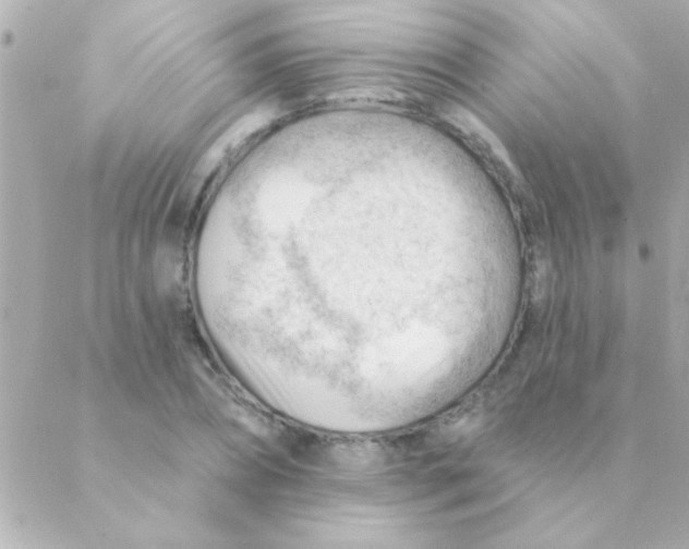 X0000088650882200706152005