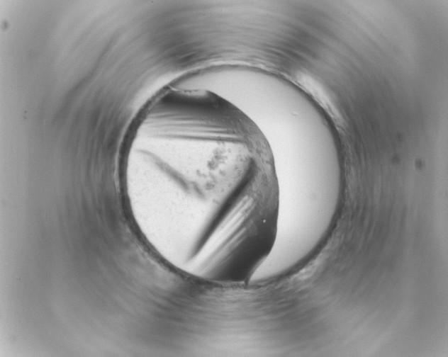 X0000088650884200706152005