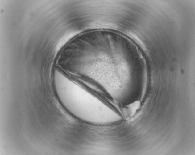 X0000088650885200706152005