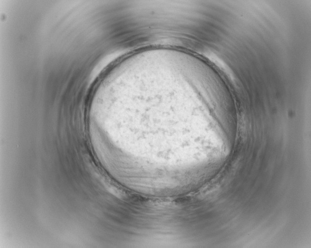 X0000088650886200706152005