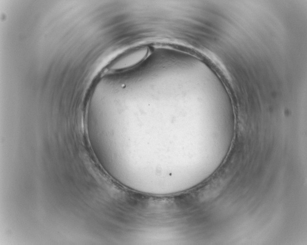 X0000088650887200706152005