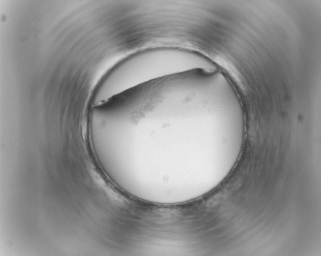 X0000088650888200706152005