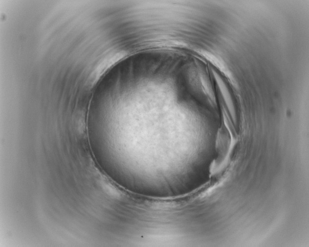 X0000088650889200706152005