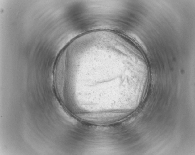 X0000088650890200706152004