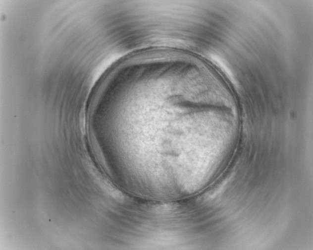 X0000088650891200706152004