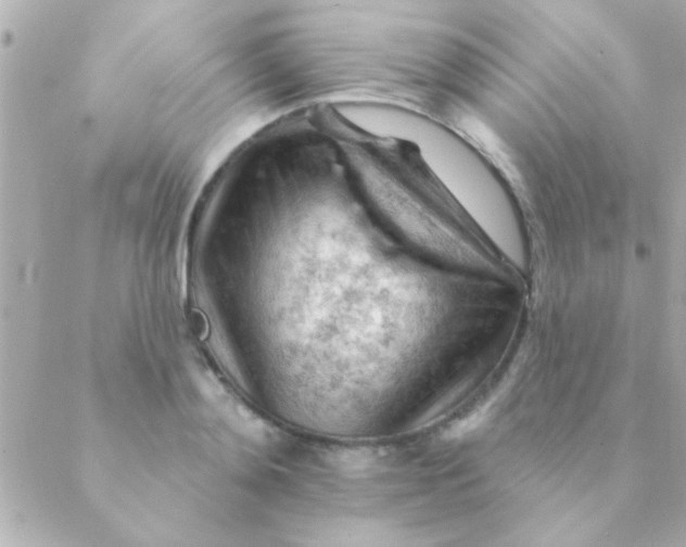 X0000088650892200706152004