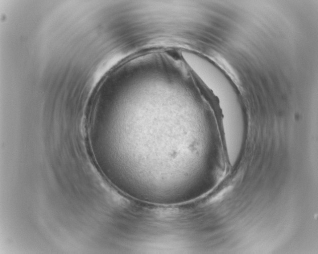 X0000088650893200706152004