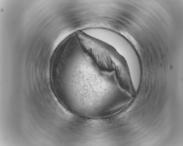 X0000088650894200706152004