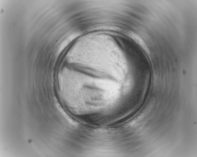 X0000088650898200706152004