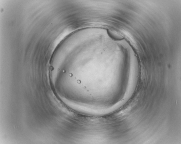 X0000088650899200706152004