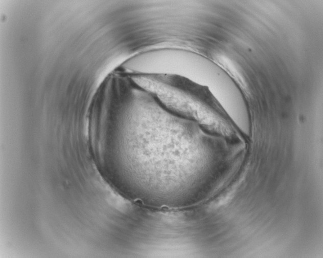 X0000088650900200706152004