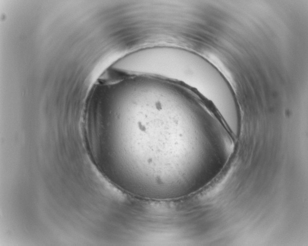 X0000088650901200706152004