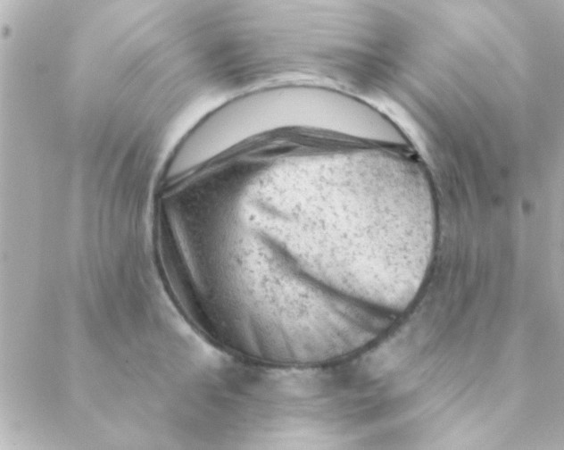 X0000088650902200706152004