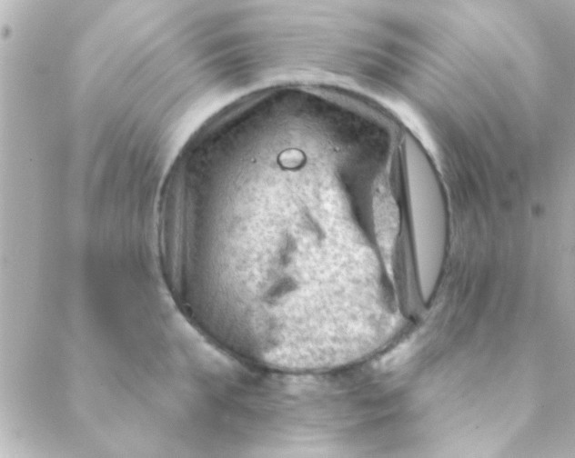 X0000088650903200706152004