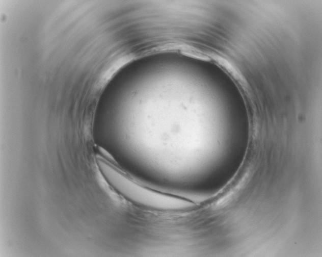 X0000088650905200706152004