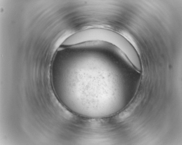 X0000088650906200706152004