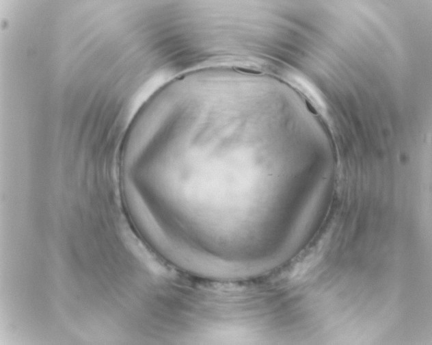 X0000088650907200706152004